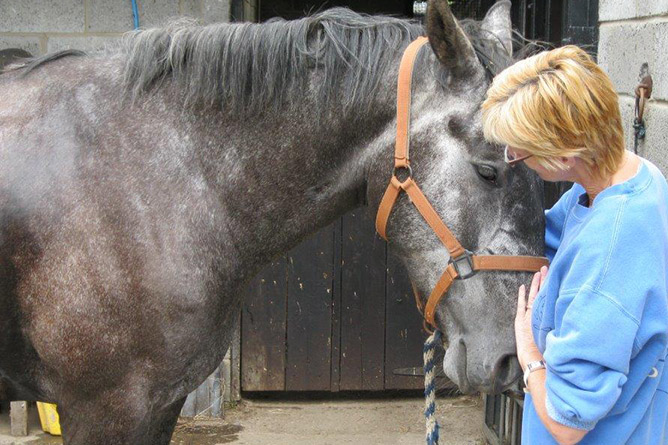 Christine healing a horse